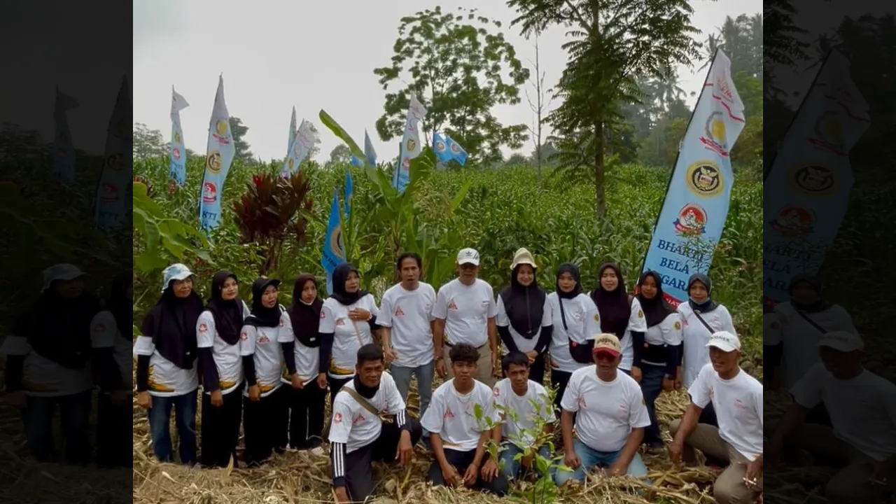 Dari Solok, PT CMK Gaspol Kejar 3.000 Ton Benih Jagung Hibrida PS 08}